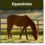 Equestrian fencing