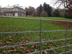 1200mm high - Galvanised Estate Railing