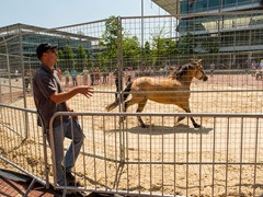 Enjoy Work - Temporary Round Pen - Chiswick Park