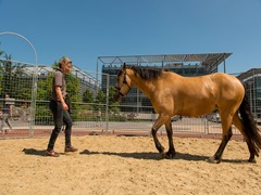 Enjoy Work - Temporary Round Pen - Chiswick Park