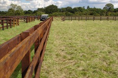 Pressure Creosoted Post & Rail - Chamfered Rails