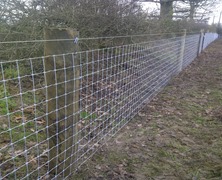 Clearance and fencing works for Breen Equestrian