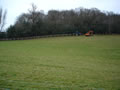 Timber fencing for livestock, cattle, sheep in large fields from Curling Contractors covering Surrey, Buckinghamshire, Essex and Kent