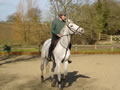 Equestrian Arenas, maneges and sand schools from Curling Contractors covering Surrey, Essex and Middlesex